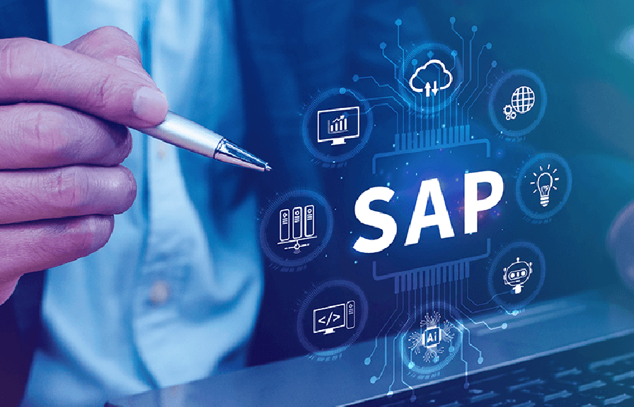 SAP Consultant at work